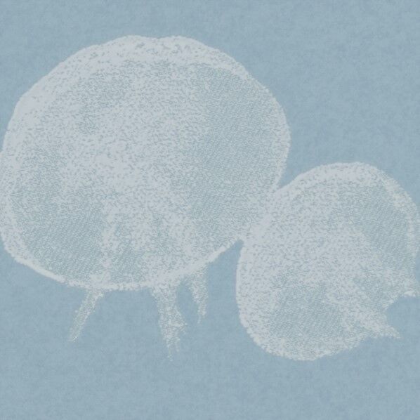 壁紙 リザーブ パターン 蓄光