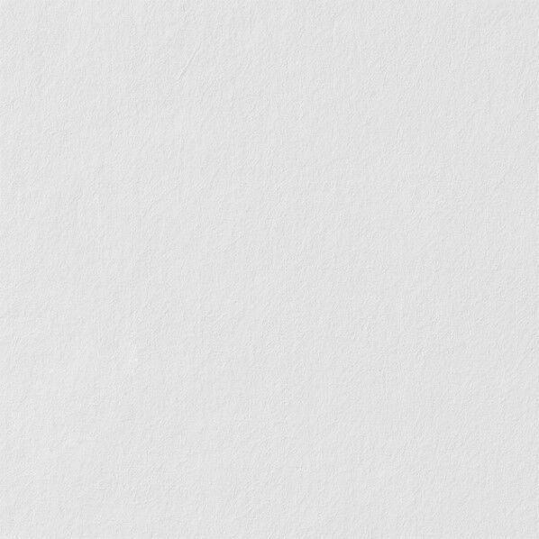 壁紙 リザーブ ラウファーザー(塗装下地)