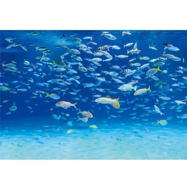 デジタルプリント壁紙 リザーブ(HIGH GRAFICA)風景写真 サンシャイン アクアリウム#1 Sサイズ(2巾)