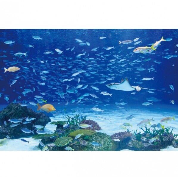 デジタルプリント壁紙 リザーブ(HIGH GRAFICA)風景写真 サンシャイン アクアリウム#2 Sサイズ(2巾)