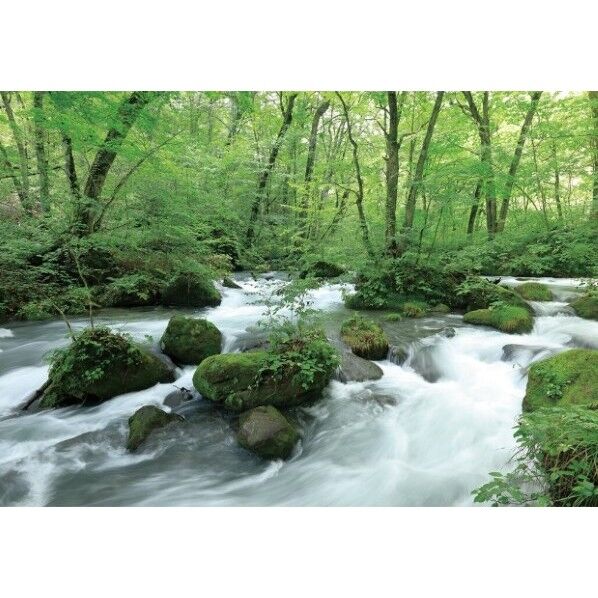 デジタルプリント壁紙 リザーブ(HIGH GRAFICA)風景写真 奥入瀬渓流 Sサイズ(2巾)