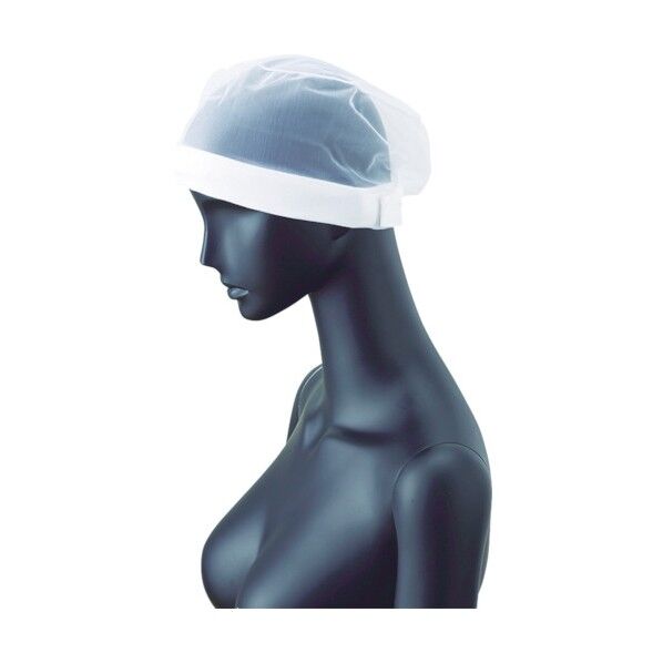 サンペックスヘアネットホワイトフリー(10枚入)