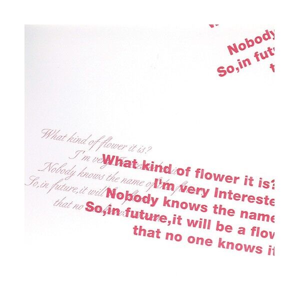 ラッピングペーパー OPPグレース レッド 1本 006776077 1点