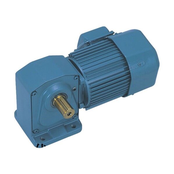 直交軸脚取付形減速機 三相0.74KW 減速比1/10 ブレーキ無 TMHL-07-10A 1点