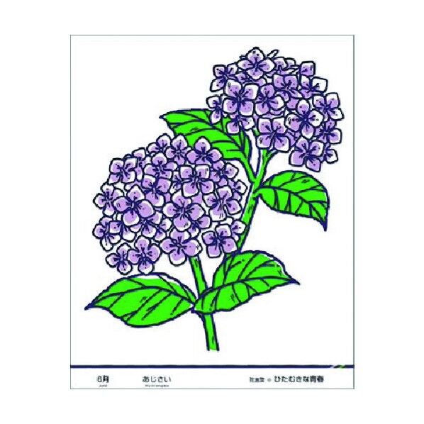 たのし～る[花ことば] あじさい KS-46 1点