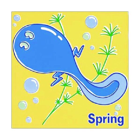 たのし～る[ゆかいな季節][春]Spring KS-72 1点