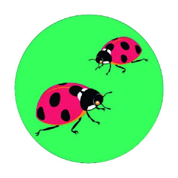 たのし～る[こんちゅう2]てんとう虫 KS-131 1点