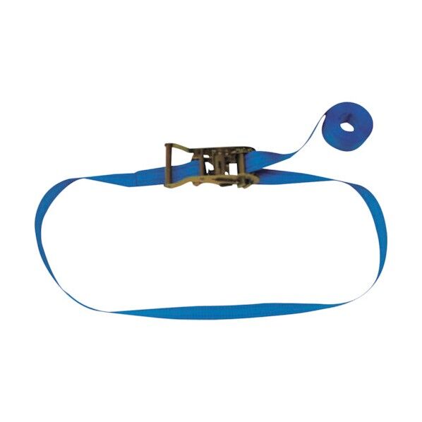 ラッシングベルト(ベルト荷締機)ラチェットバックル式エンドレスタイプ R20N020-000A 1点