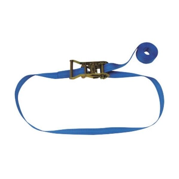 ラッシングベルト(ベルト荷締機)ラチェットバックル式エンドレスタイプ R20N025000A 1点
