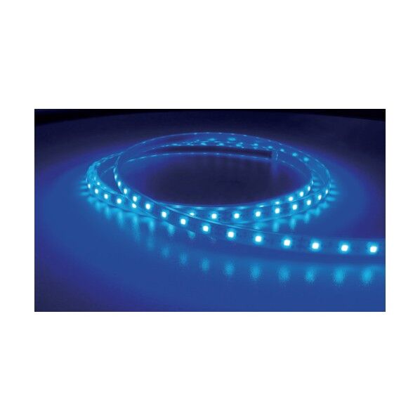 LEDテープライト Viewdi Plus DC24V 16.6mmP 青色 1m巻 TLVD+B2-16.6P-1 1点