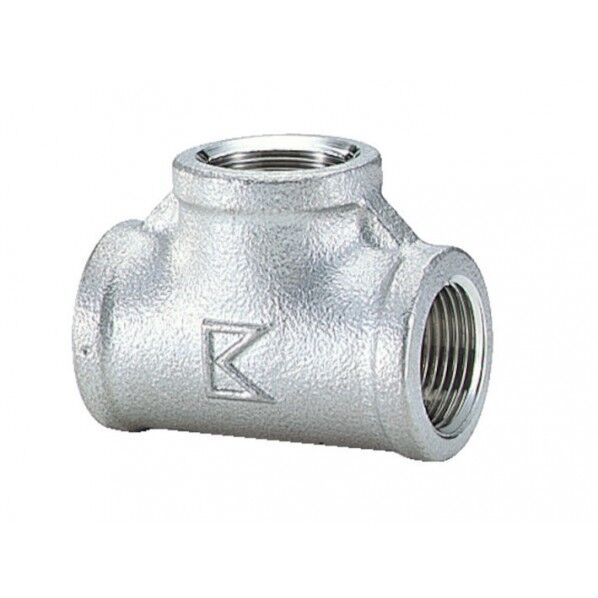 チーズ PT10A 1個