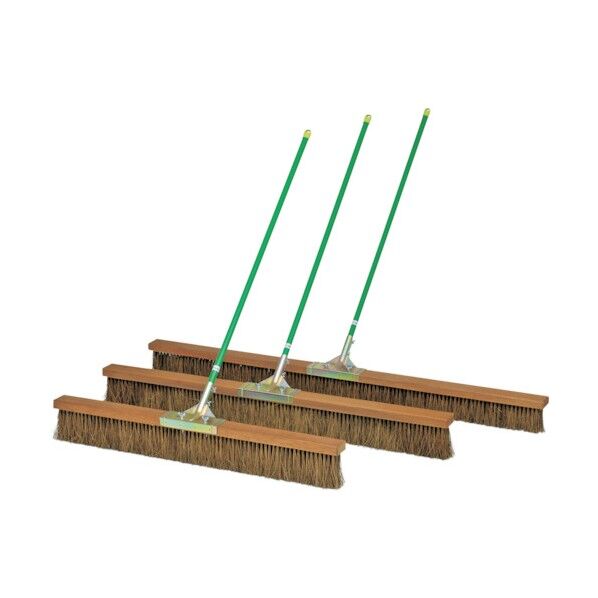 コートブラシシダ 120cm B2312 1本