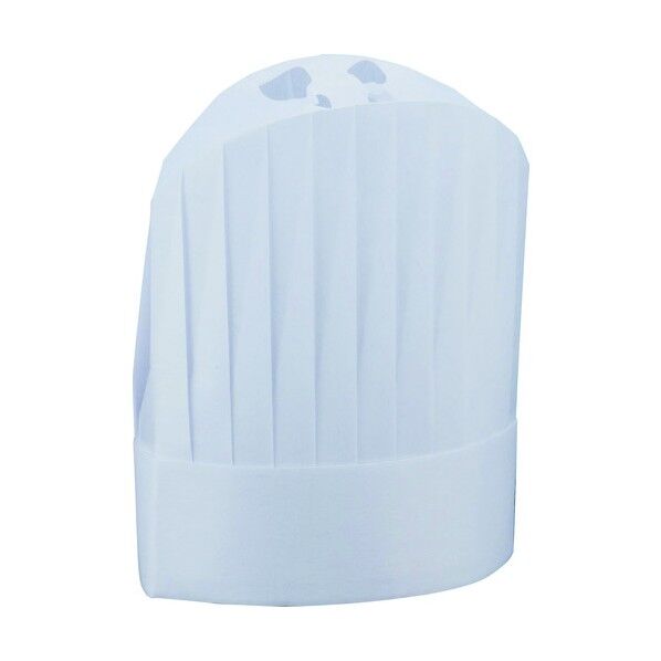 ニュークリーンハット コック帽ドーム型 YS-30DWH SHT6301 10枚