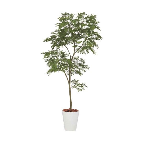 エバーフレッシュ1.8m