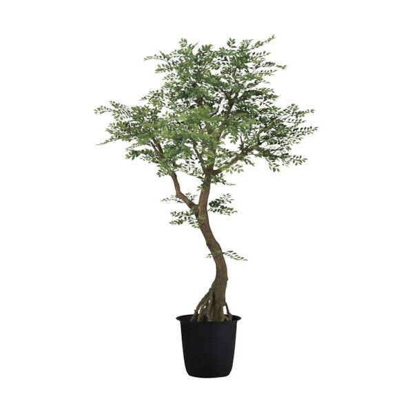 ゴールデンリーフコアッド2．3m