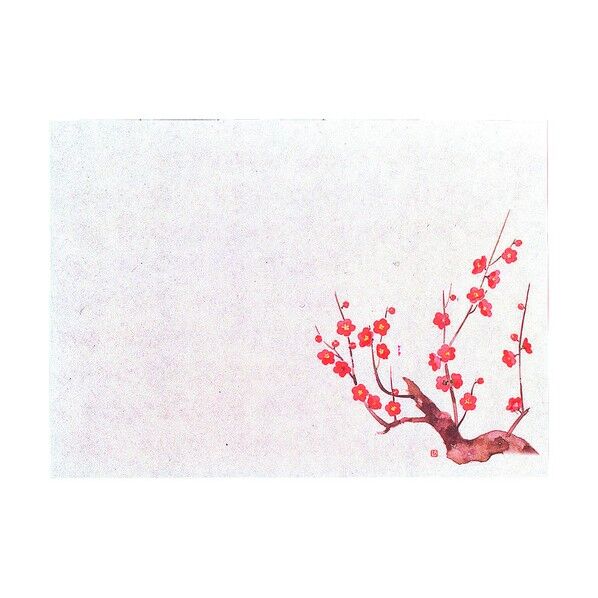 遠赤保鮮紙 小 梅 100枚