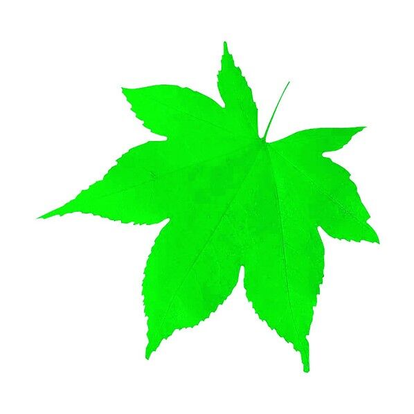 型抜きクリアシート ミニ・青もみじ 65783 200枚