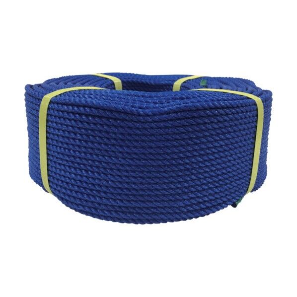 ロープ PEロープ巻物 5φ×200m ブルー