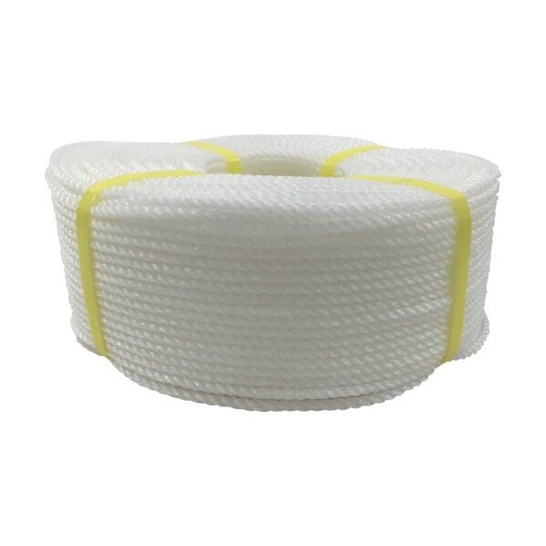 ロープ PEロープ巻物 5φ×200m ホワイト