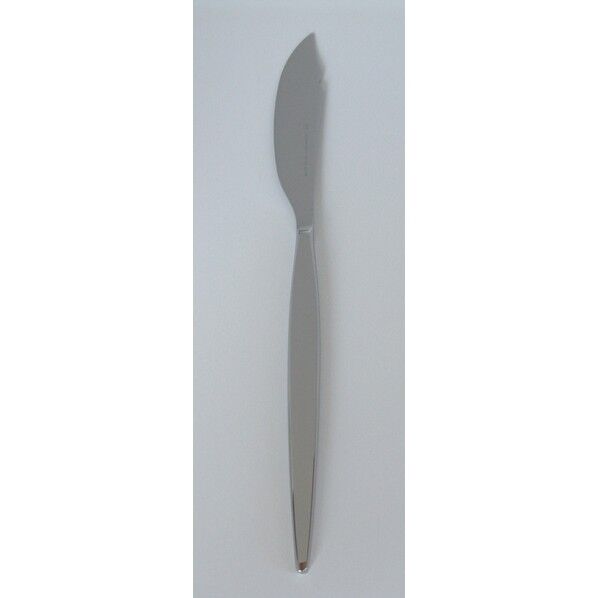 メテオラ　フィッシュナイフ 225mm 0-12618-000 1