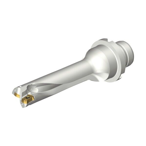 コロドリルDS20刃先交換式ドリル(465)