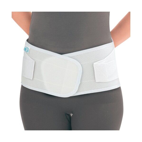 ソフラトラピス LL 034185 1枚