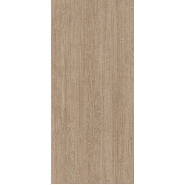 101OKNタックシート