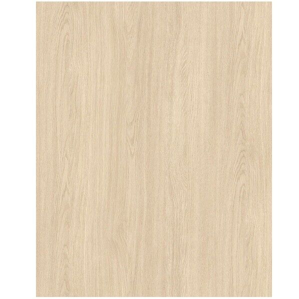 101OKNタックシート