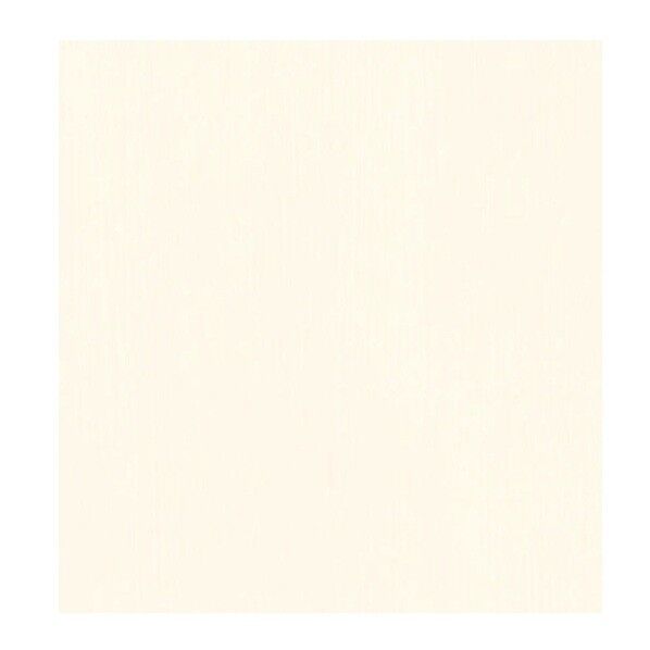 101OKNタックシート