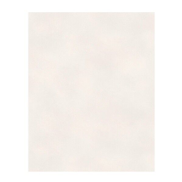 101OKNタックシート