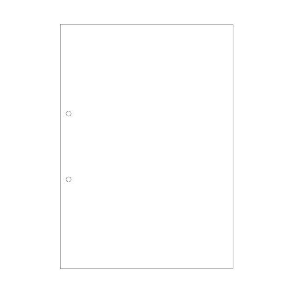 A4NC白紙2穴 大入