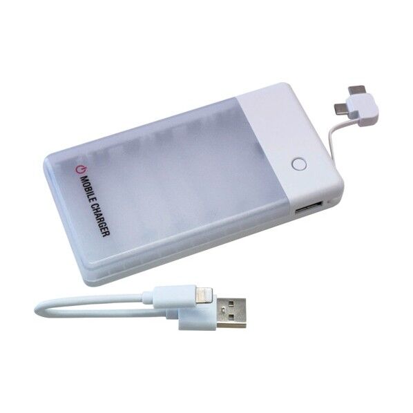 乾電池式充電器(乾電池別売)micro&TYPE-Cケーブル付き