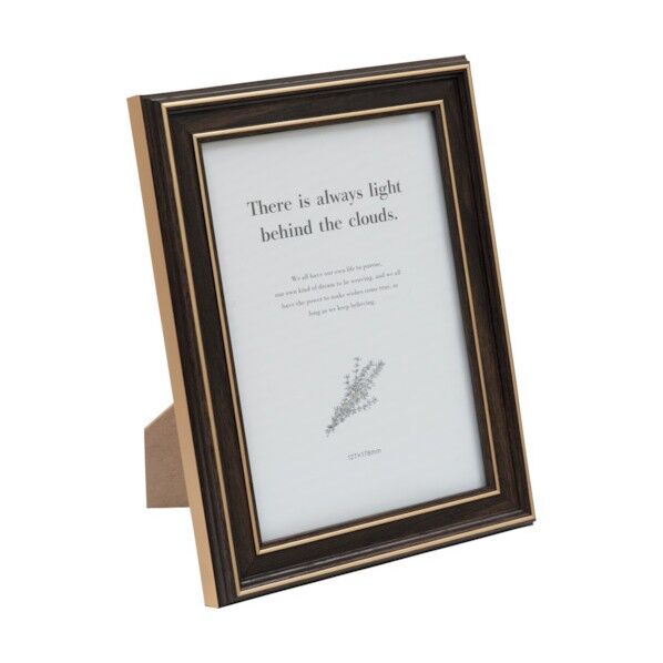 ESフレーム 2L ブラウン ESFRAME2L BR 1点...