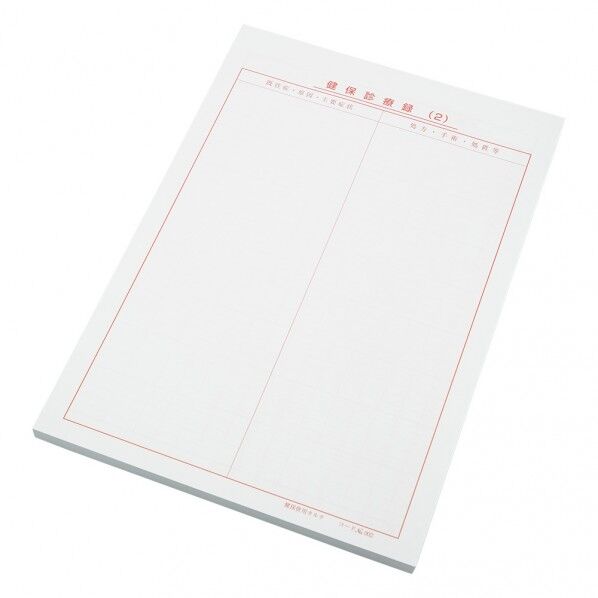 健保カルテ 8-9620-02 100枚