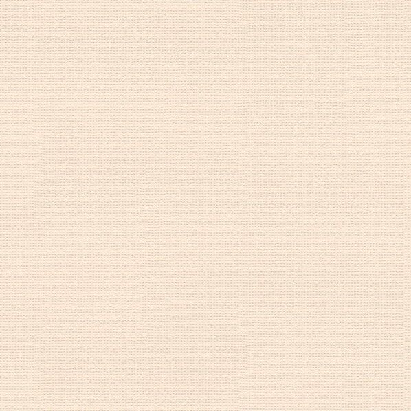 壁紙 PINEBULL 酵素パワー消臭