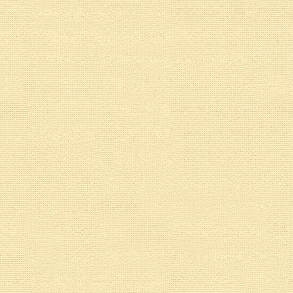 壁紙 PINEBULL 酵素パワー消臭