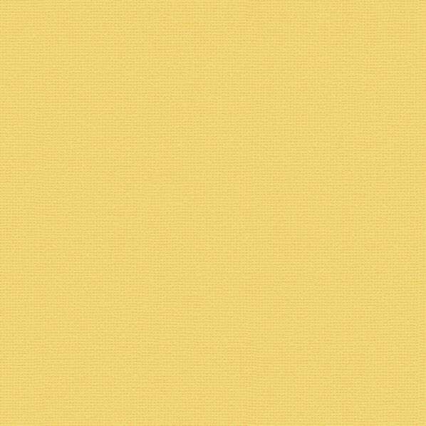 壁紙 PINEBULL 酵素パワー消臭