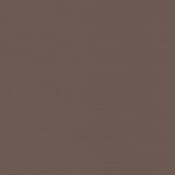 壁紙 PINEBULL 酵素パワー消臭