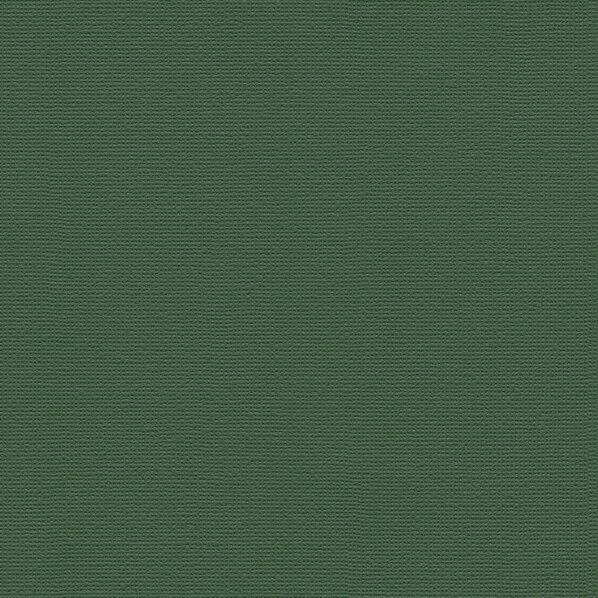 壁紙 PINEBULL 酵素パワー消臭 DIC Color story 松葉色