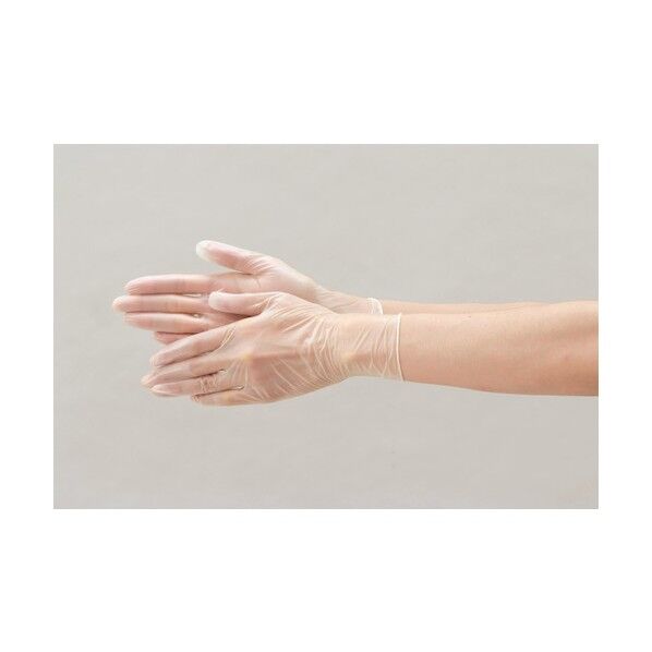 エブケアプラスチックグローブ粉付袋入L 1001-L 100枚