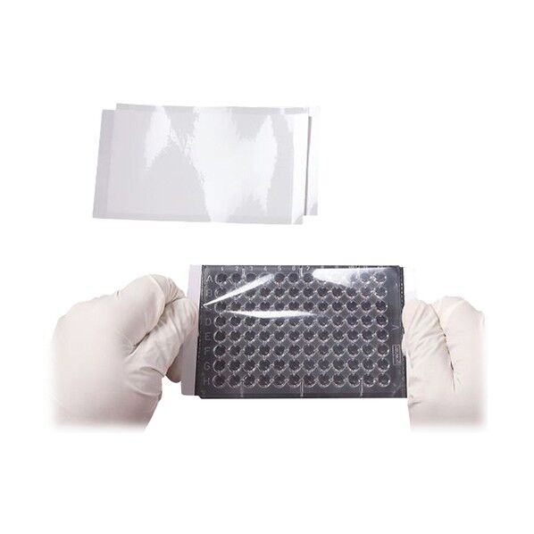 ELISA用シールプレートフィルム ThinSeal 100-THIN-PLT 100枚