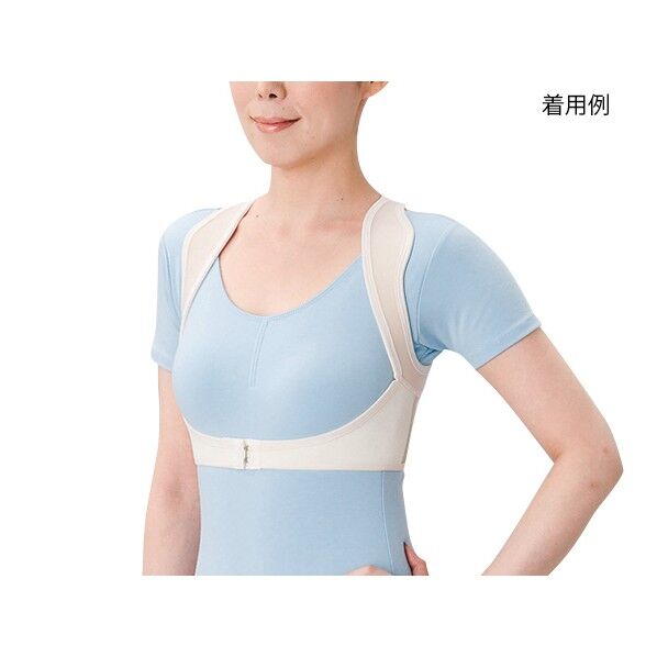 シャキッと姿勢補正ベルト