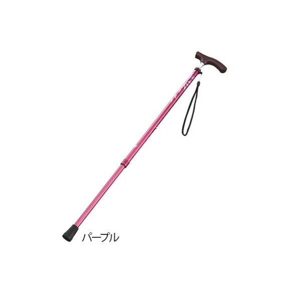 伸縮杖(スリムネックタイプ) 8-6961-01 1個