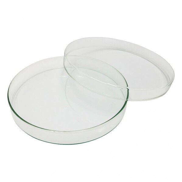 スタンダードシャーレ φ200×30mm 200/30