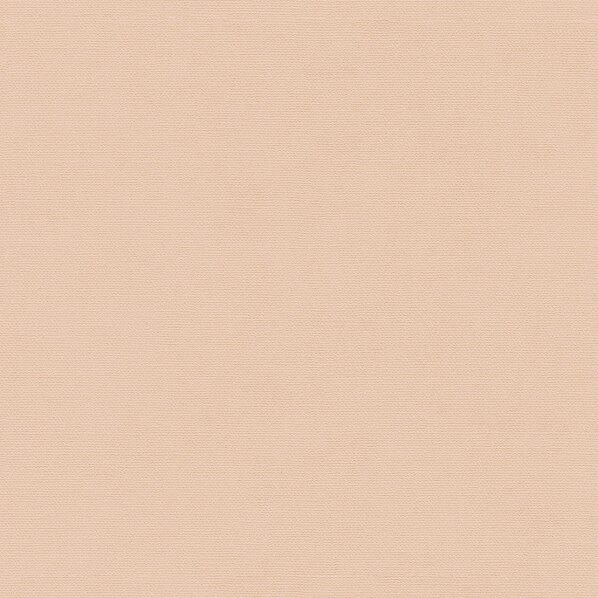 壁紙 PINEBULL L.Rix Fantasy(上野リチ) ノス タ ル ジックカラ ー