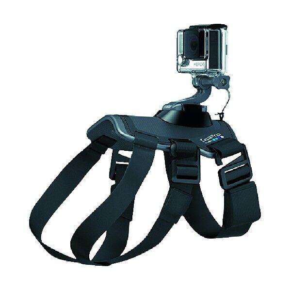 GoProドッグハーネス-Fetch-