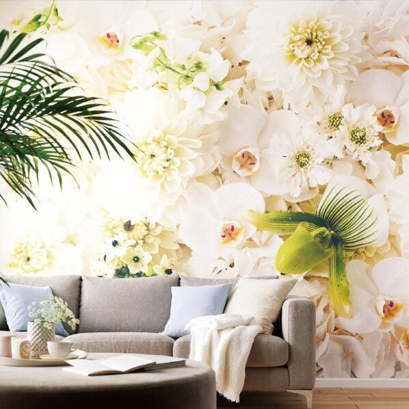 壁紙 PINEBULL 日比谷花壇 Silence white