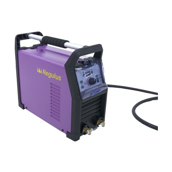 グリーンクロス 直流溶接機 RAA-200D 6300056039 1台...