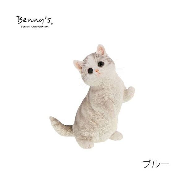オブジェ雑貨 QB-009GR べニーズキャット マンチカン (ブルー)