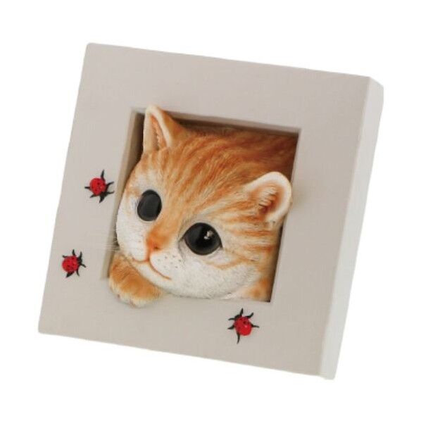 オブジェ雑貨 QB-013Y べニーズキャットひょっこり (茶トラ)